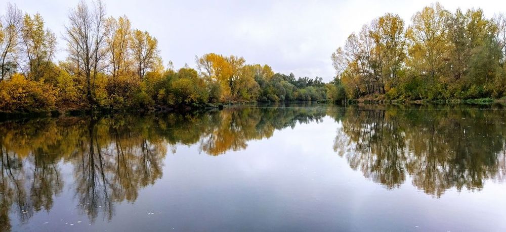 Фотография автора Веста Ягужинская
