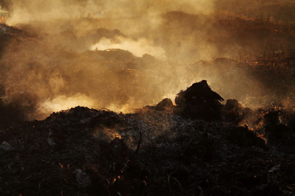 Photograph by Илья