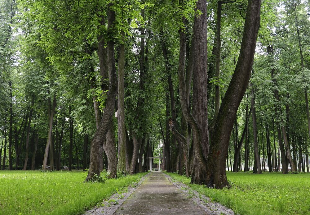 Фотография автора Елена Колосова