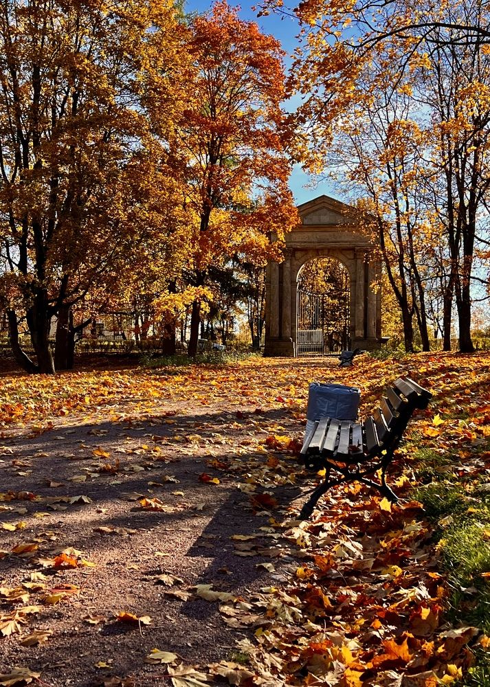 Photograph by Елена Ковалева