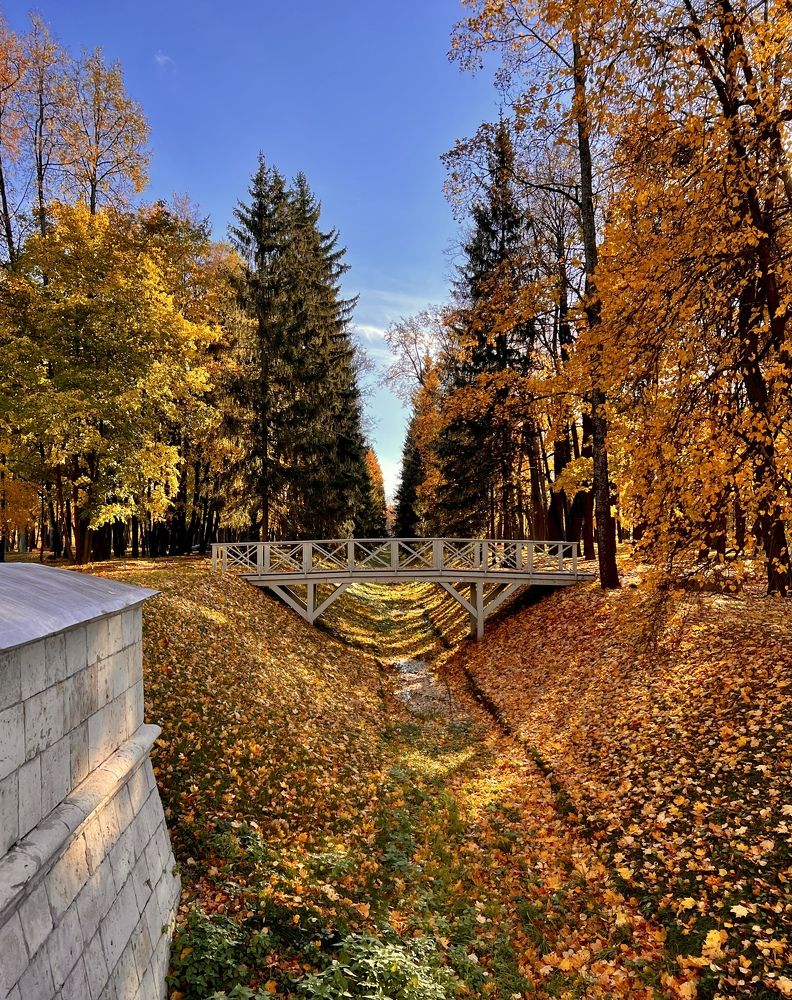 Photograph by Елена Ковалева