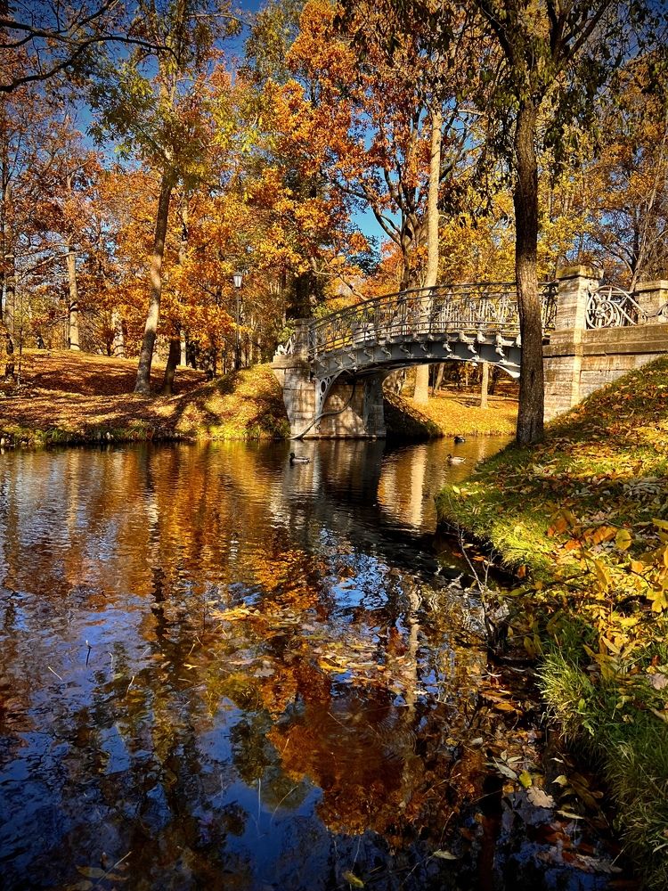 Photograph by Елена Ковалева