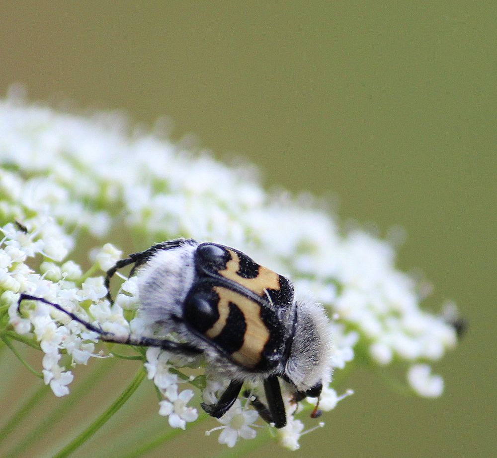 Photograph by Евгения Малафеева