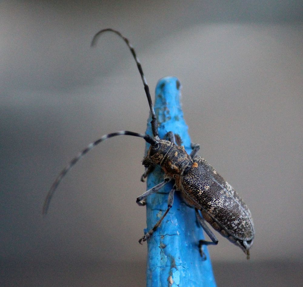 Photograph by Евгения Малафеева