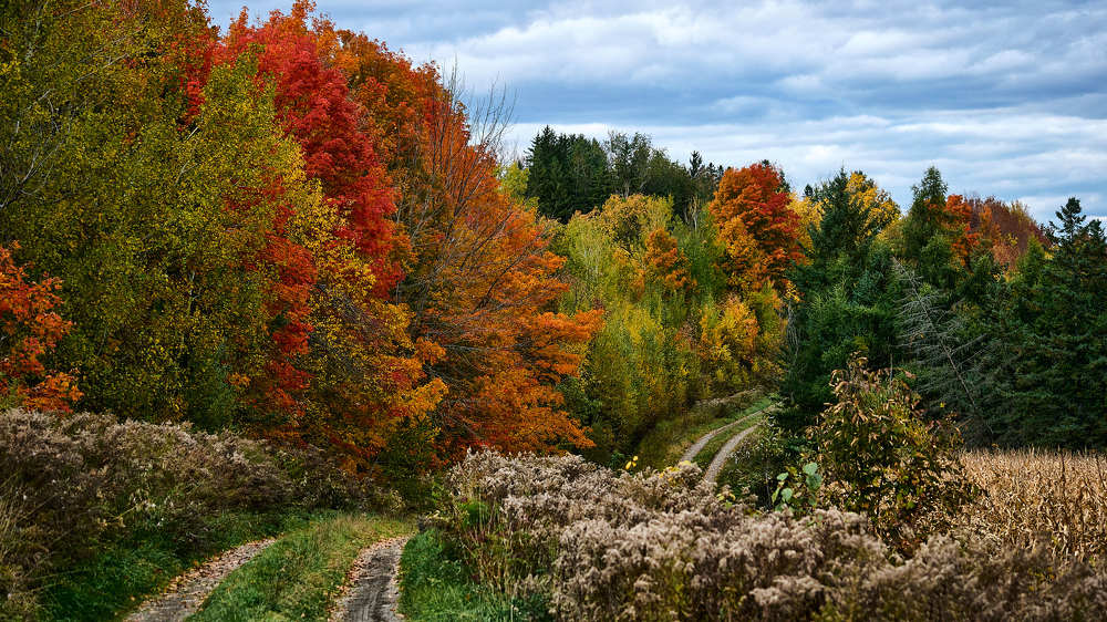 Photograph by Natalia Ghimp