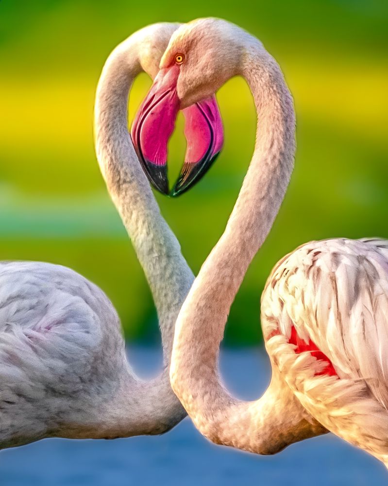 Photograph by Vishal Lokare