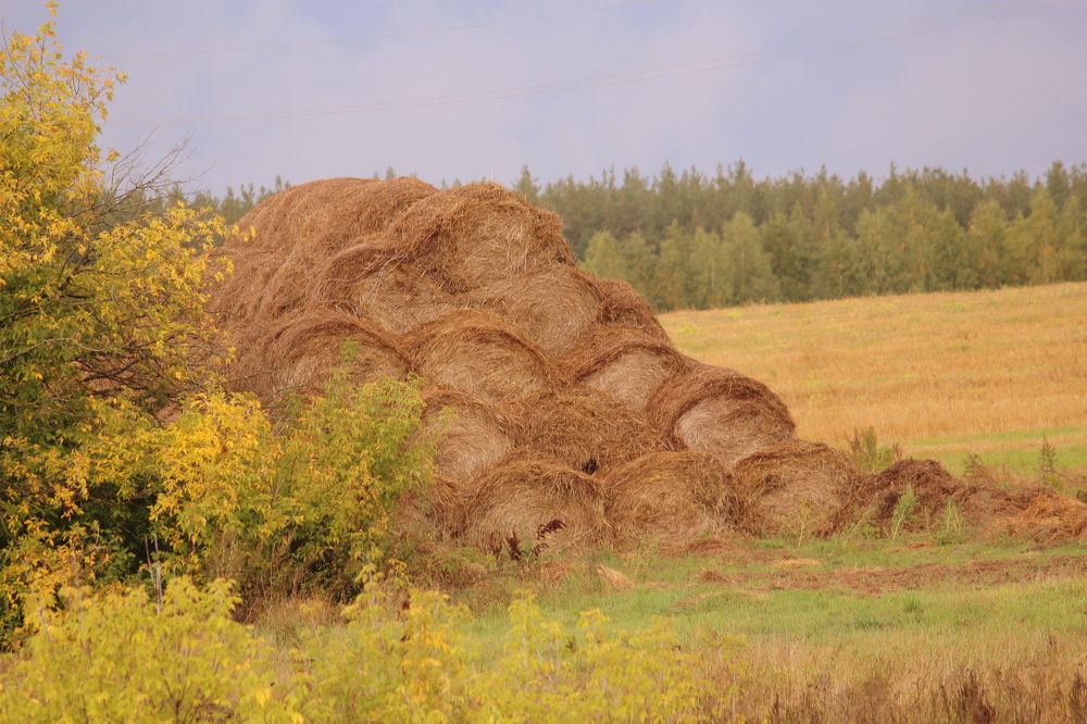 Photograph by Евгения Малафеева