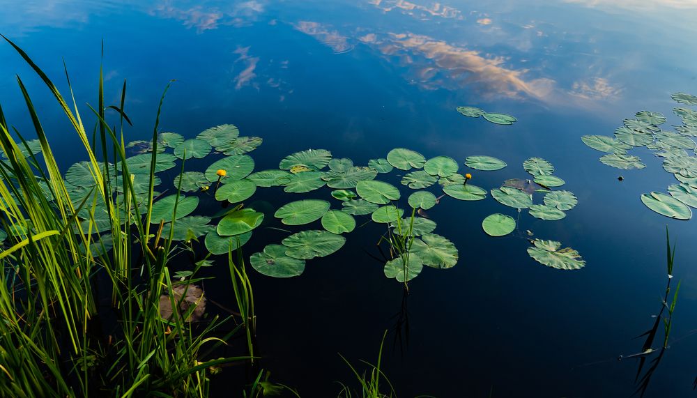 Photograph by Maria Zagagul