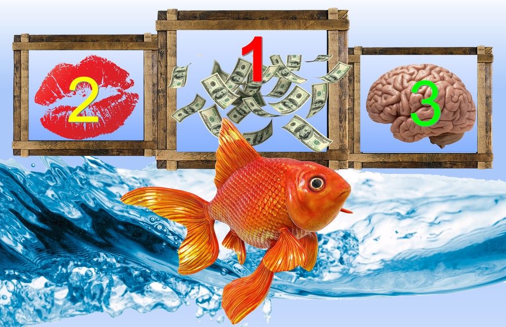 Рейтинг золотой рыбки