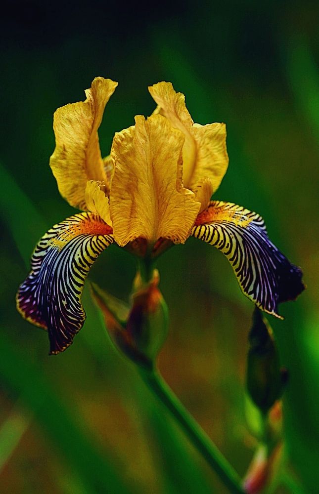 Photograph by Виолетта Рябова