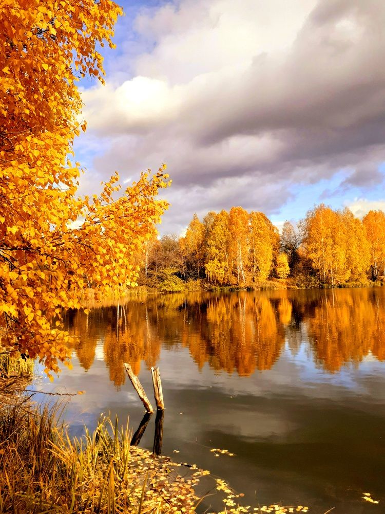 Осень рыжая подружка...