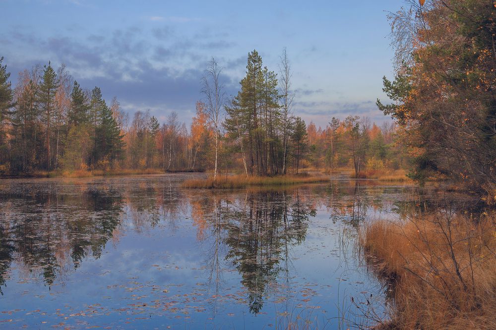 осеннее болотце