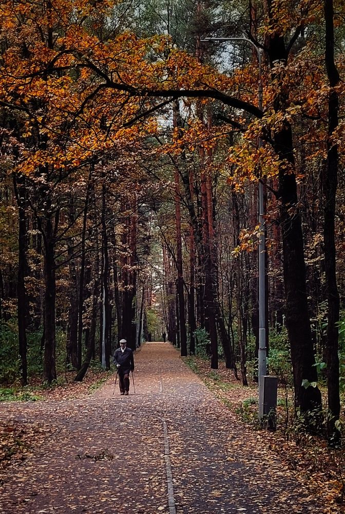 Photograph by Natali