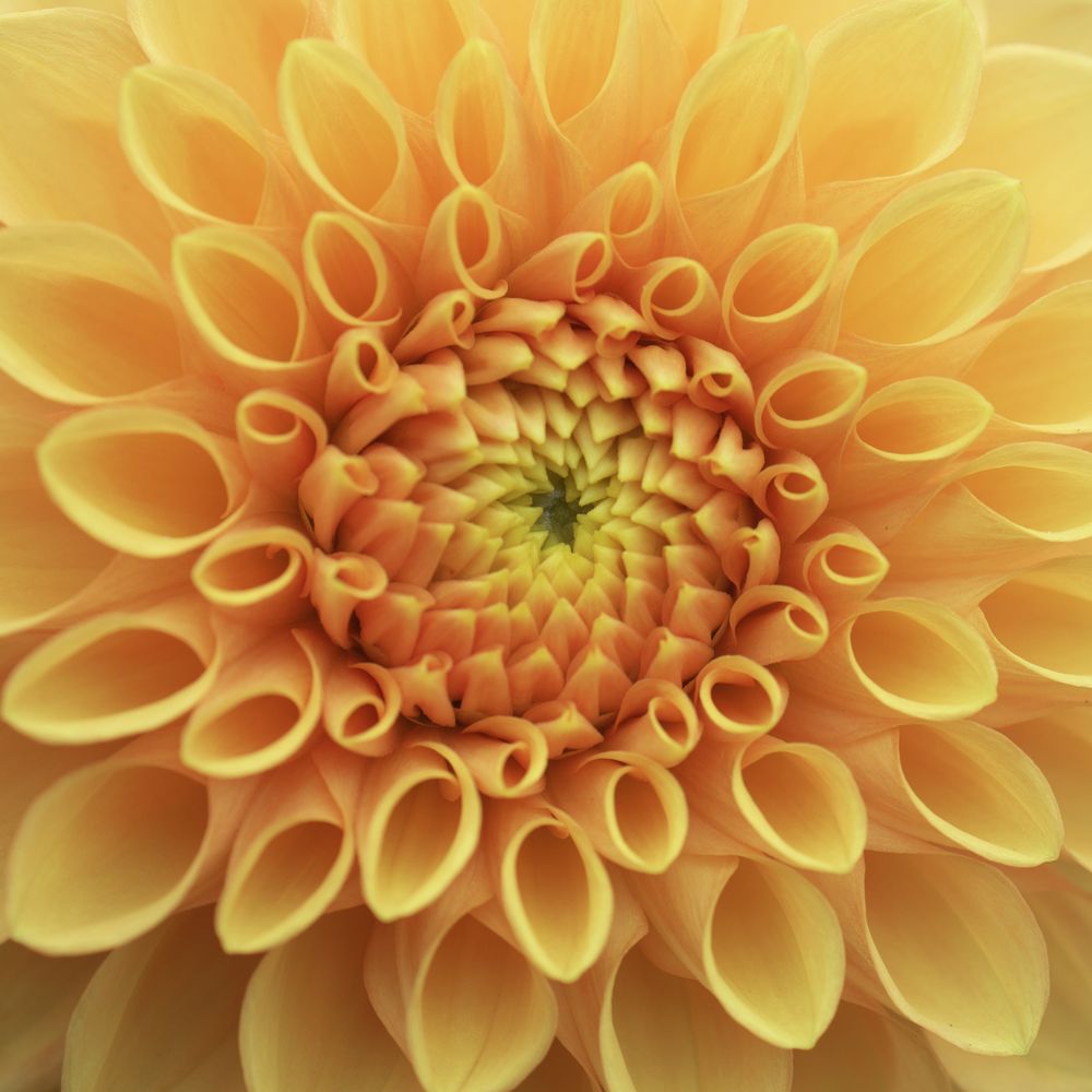 Photograph by Серегина Ирина