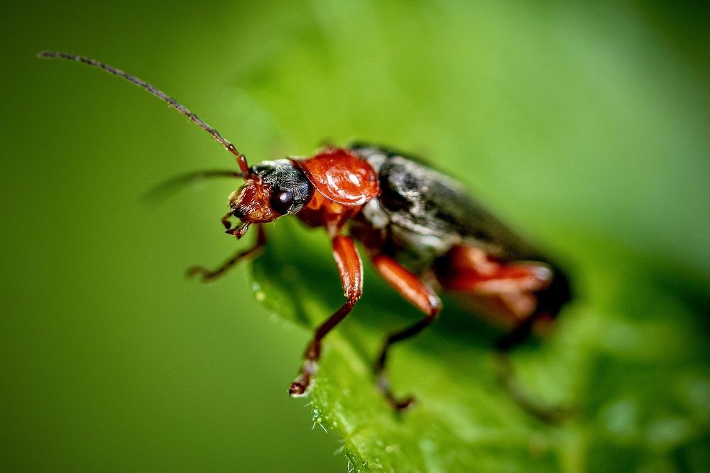 Фотография автора Helena