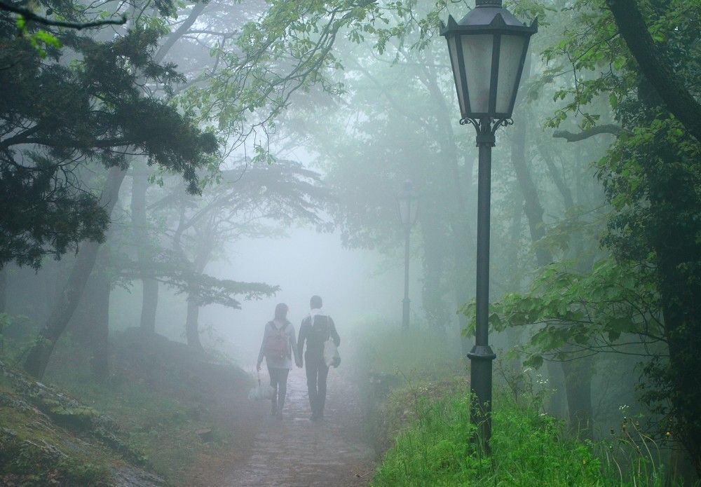 Photograph by Афанасьев Владимир