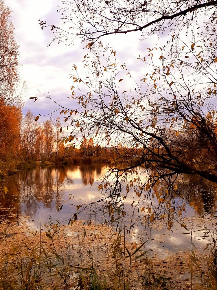 Просто грустная осень 2022 года...