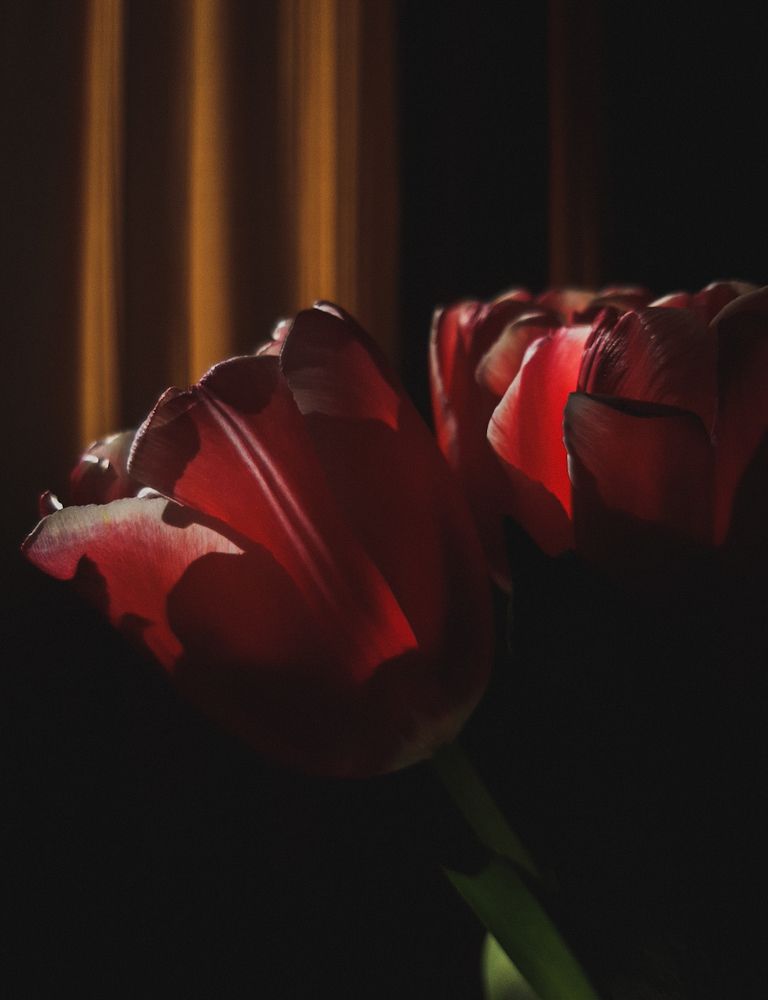 Photograph by Александра Кропивка