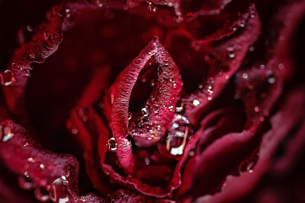 Фотография автора Helena