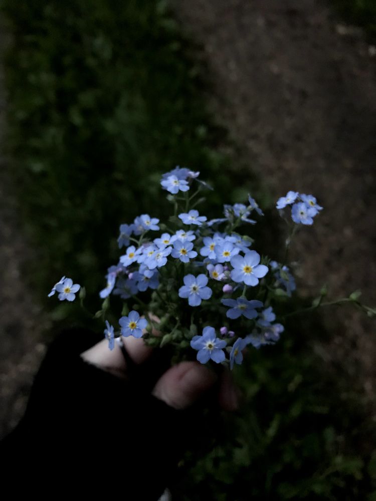 Photograph by Nakiato