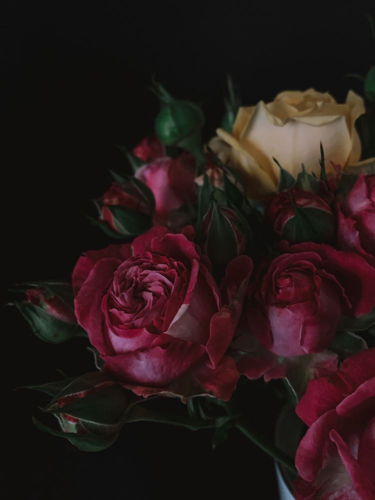 Photograph by Uliana Volegova