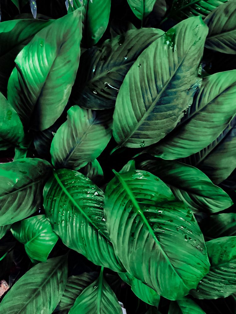 Photograph by Александра Кропивка