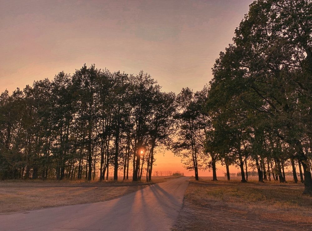 Photograph by Natasha Efanova