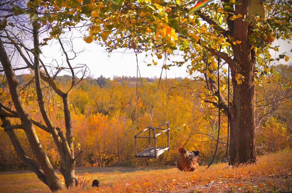 Photograph by Natasha Efanova