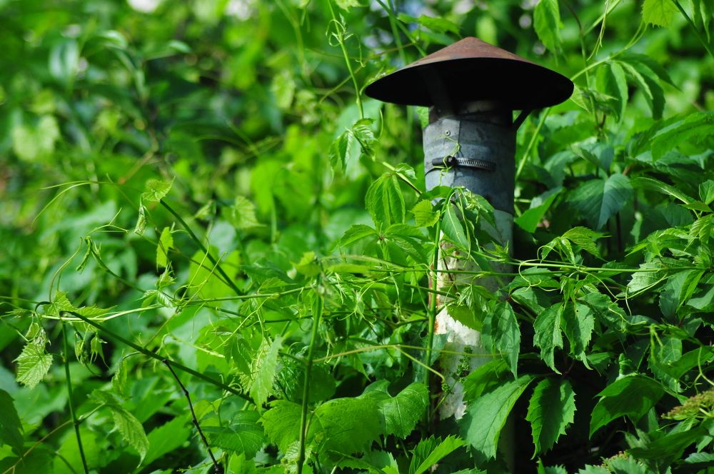 Photograph by Константин