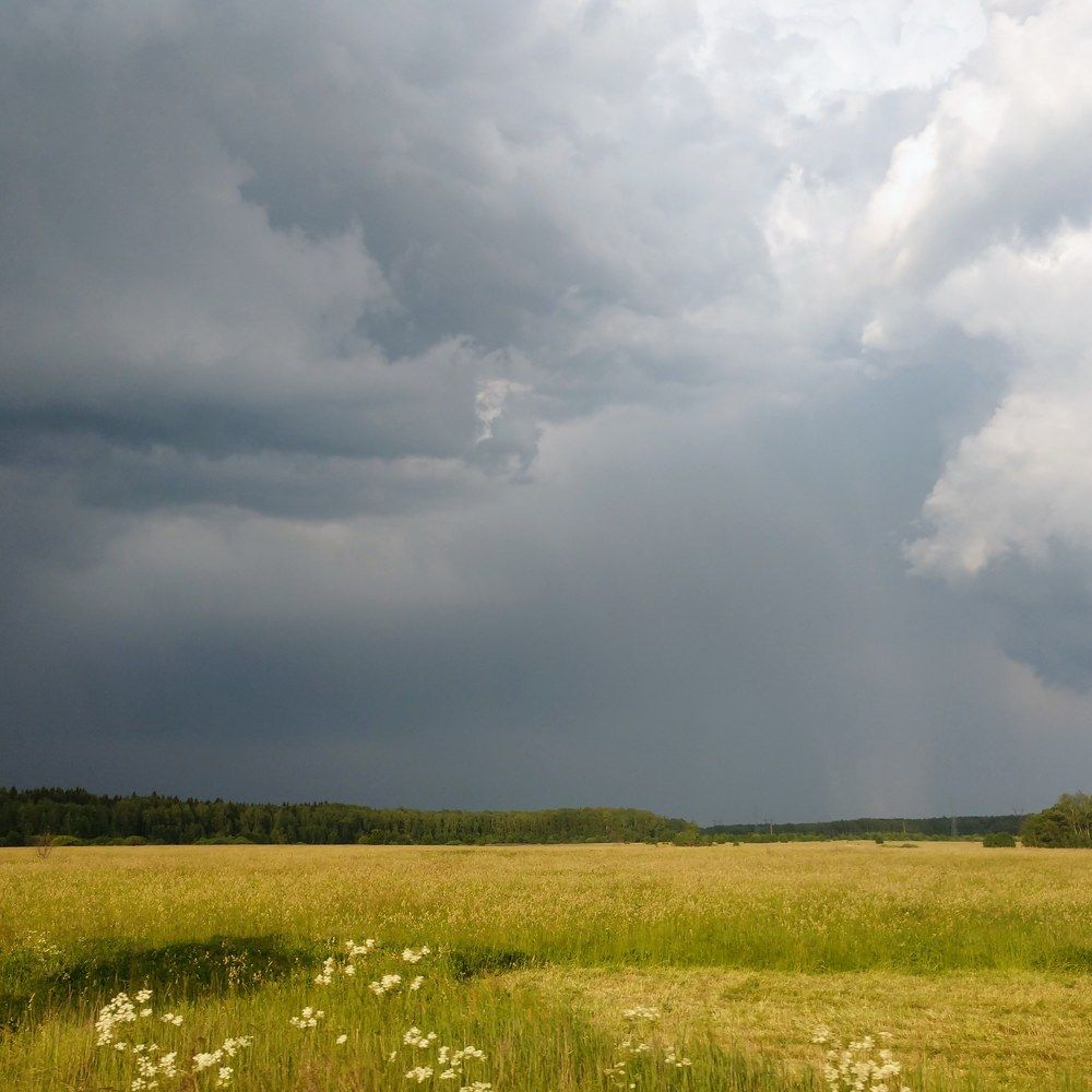 Photograph by Натали ДанКо