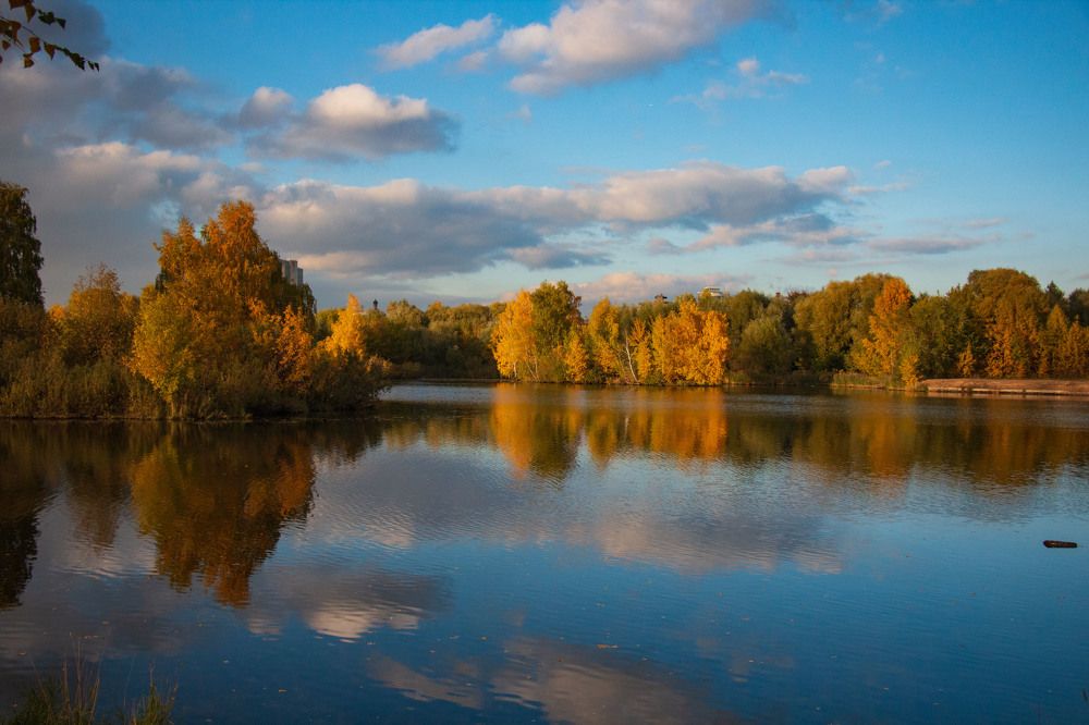 Фотография автора Елена Запертова