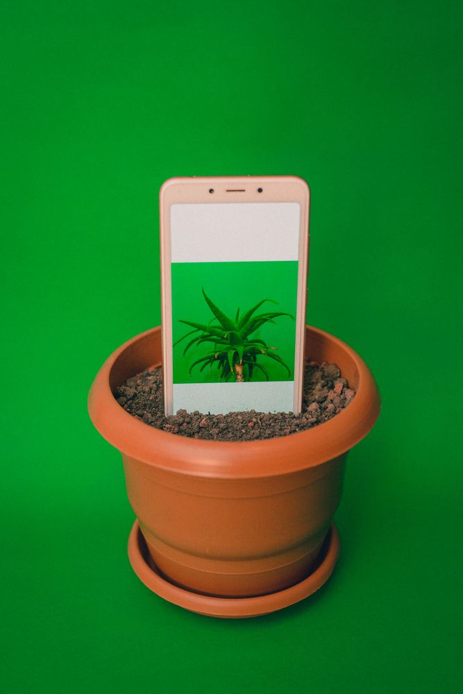 Photograph by Vazgen Asatryan