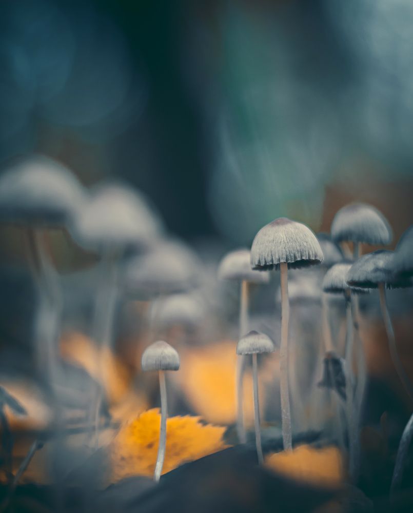 Photograph by Вайсберг Александр