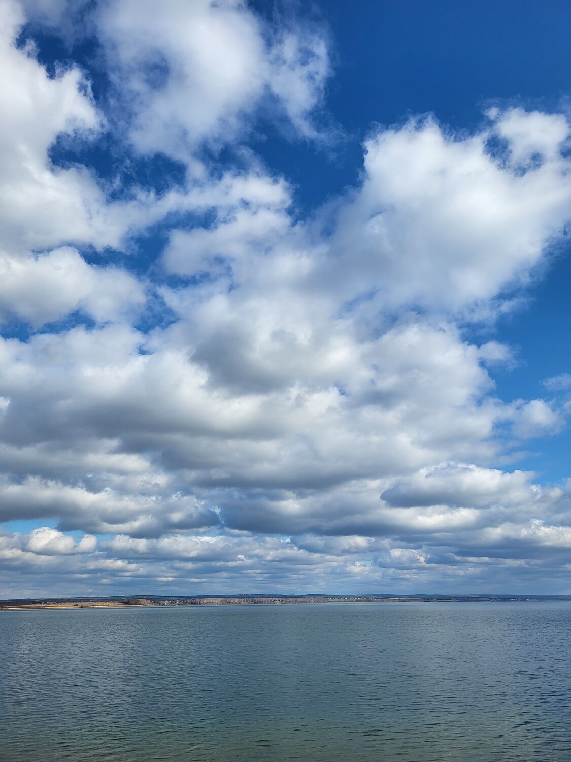 Photo #8170107