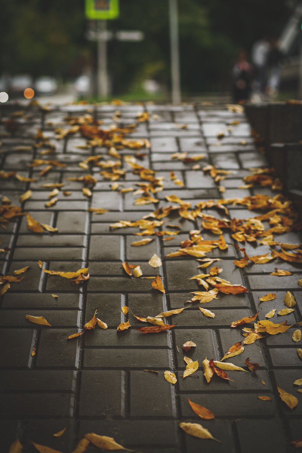 Photo #8170113