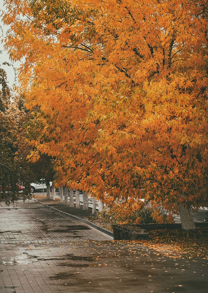 Photograph by Елена Власова