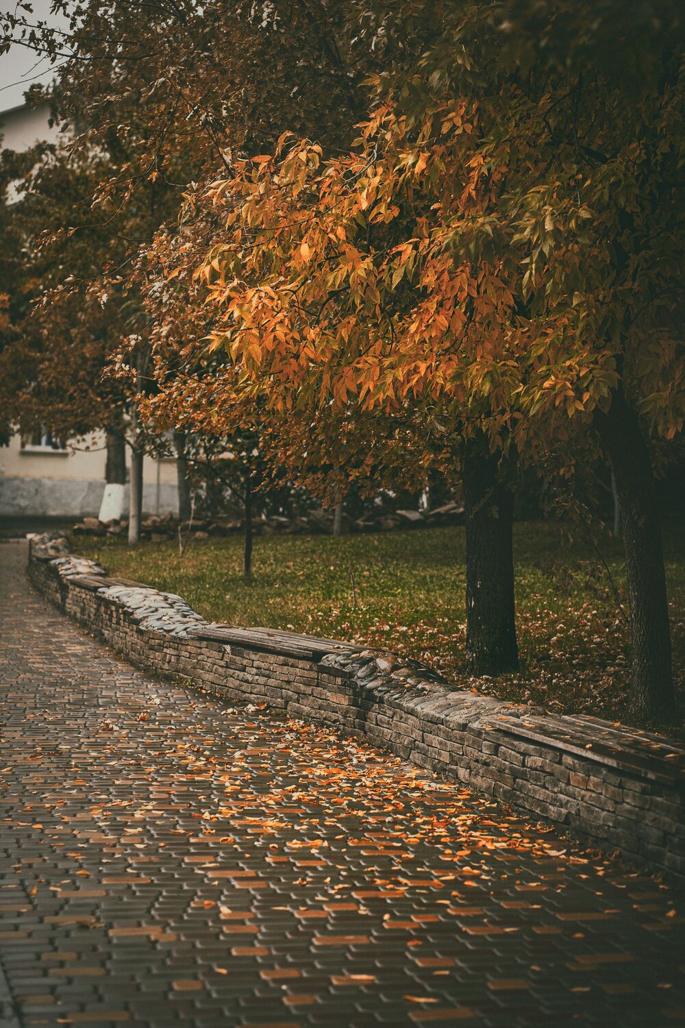 Фотография #8170116