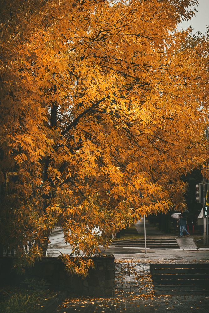 Photograph by Елена Власова