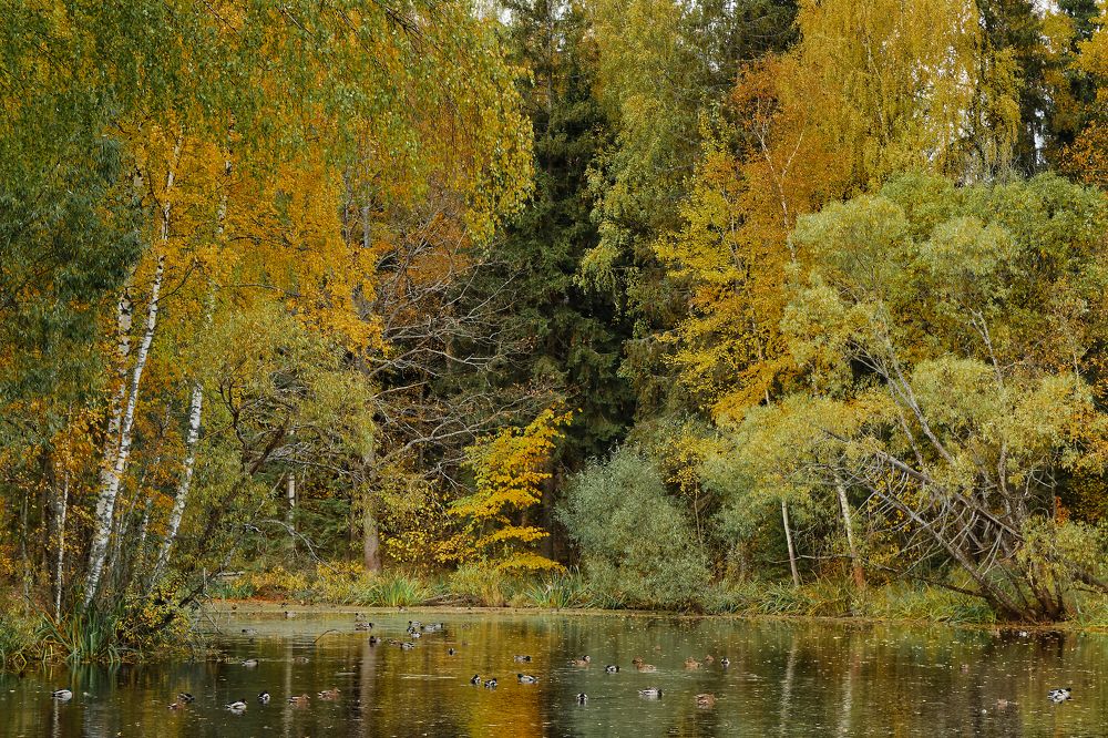 Photograph by Анатолий Калмыков