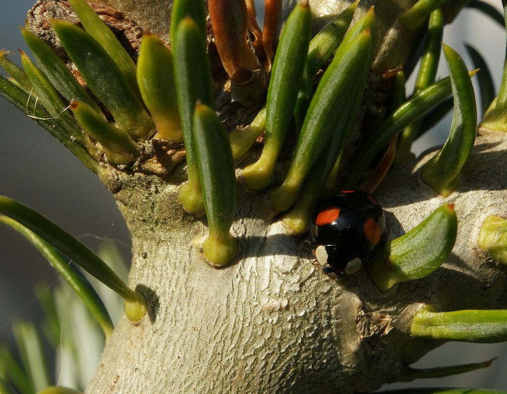 Photograph by Дмитрий Ткаченко