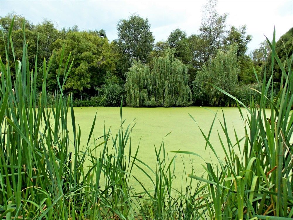 Photograph by Олександр Розум