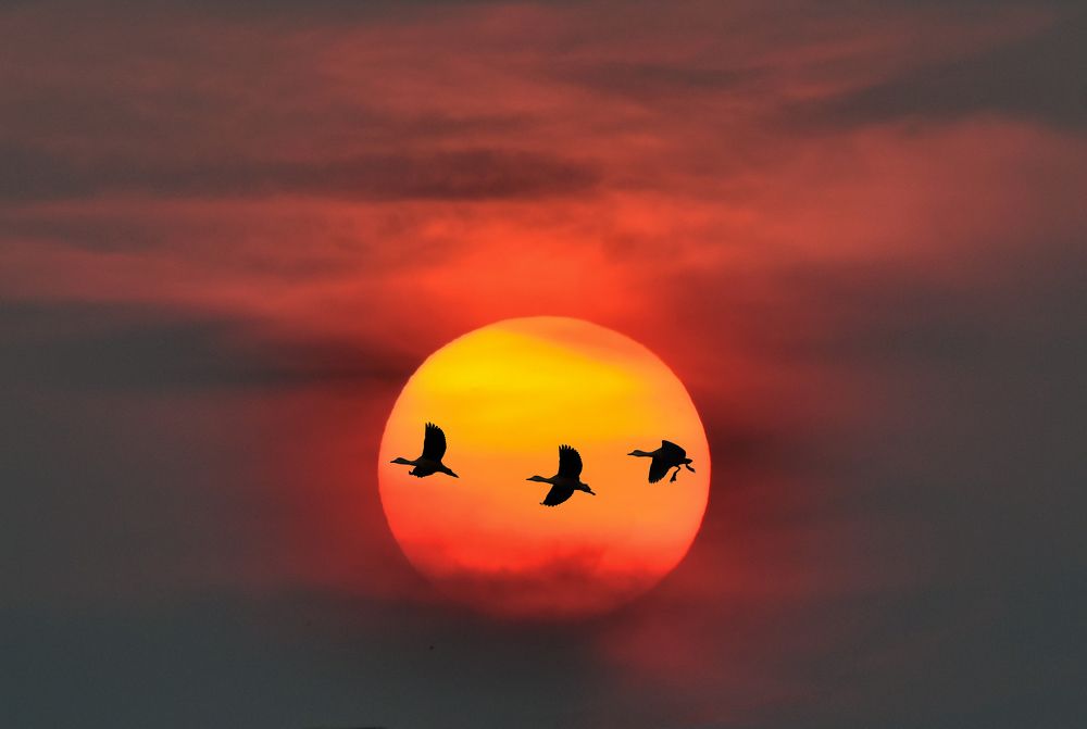 Photograph by Asamanj Maiti