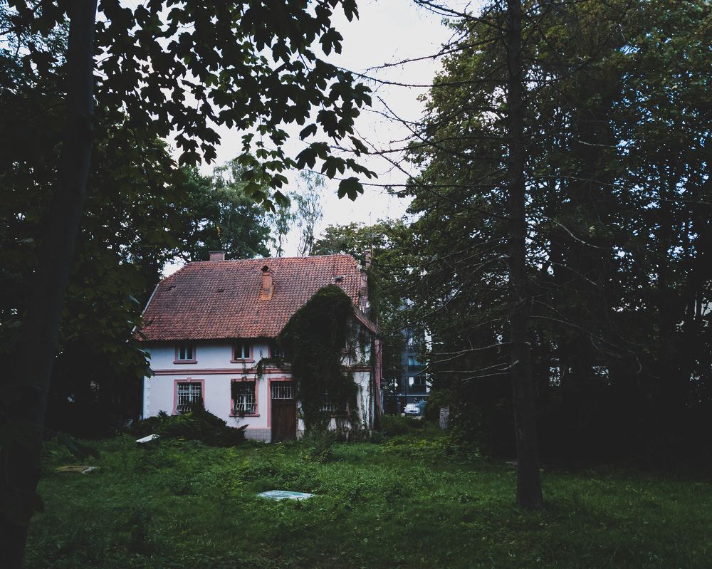 Photograph by Женя Жданова
