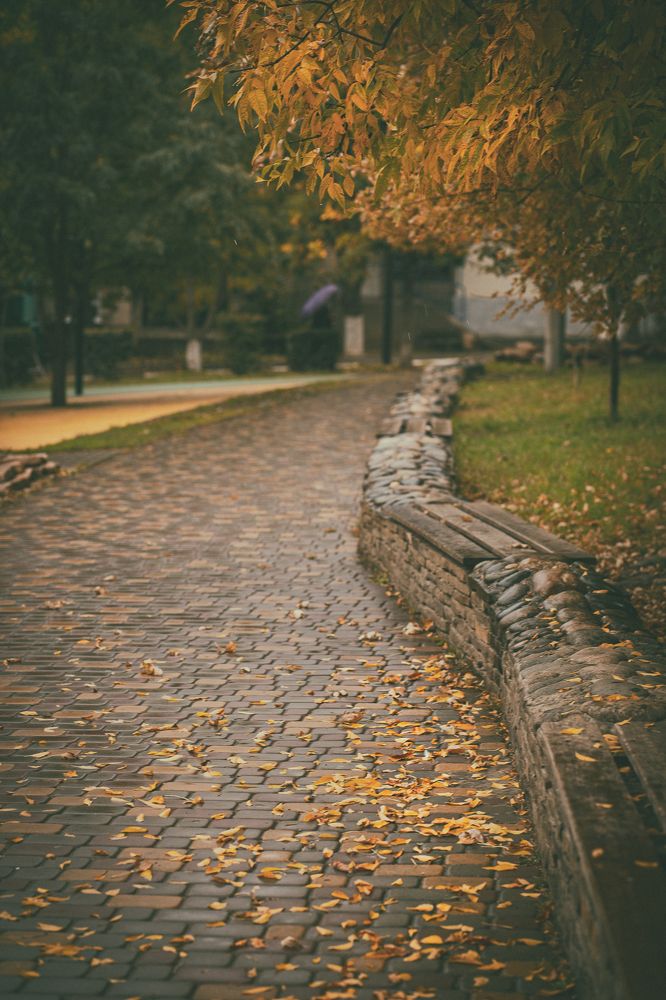 Photograph by Елена Власова