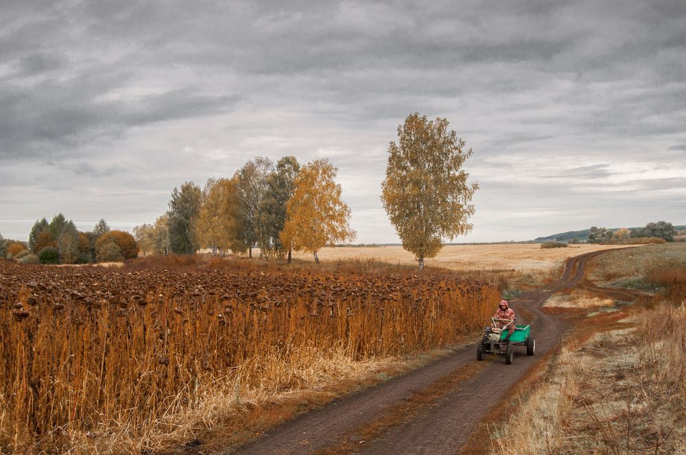 Photograph by Новиков Владимир