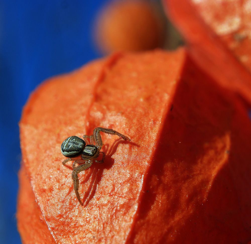 Photograph by Дмитрий Ткаченко