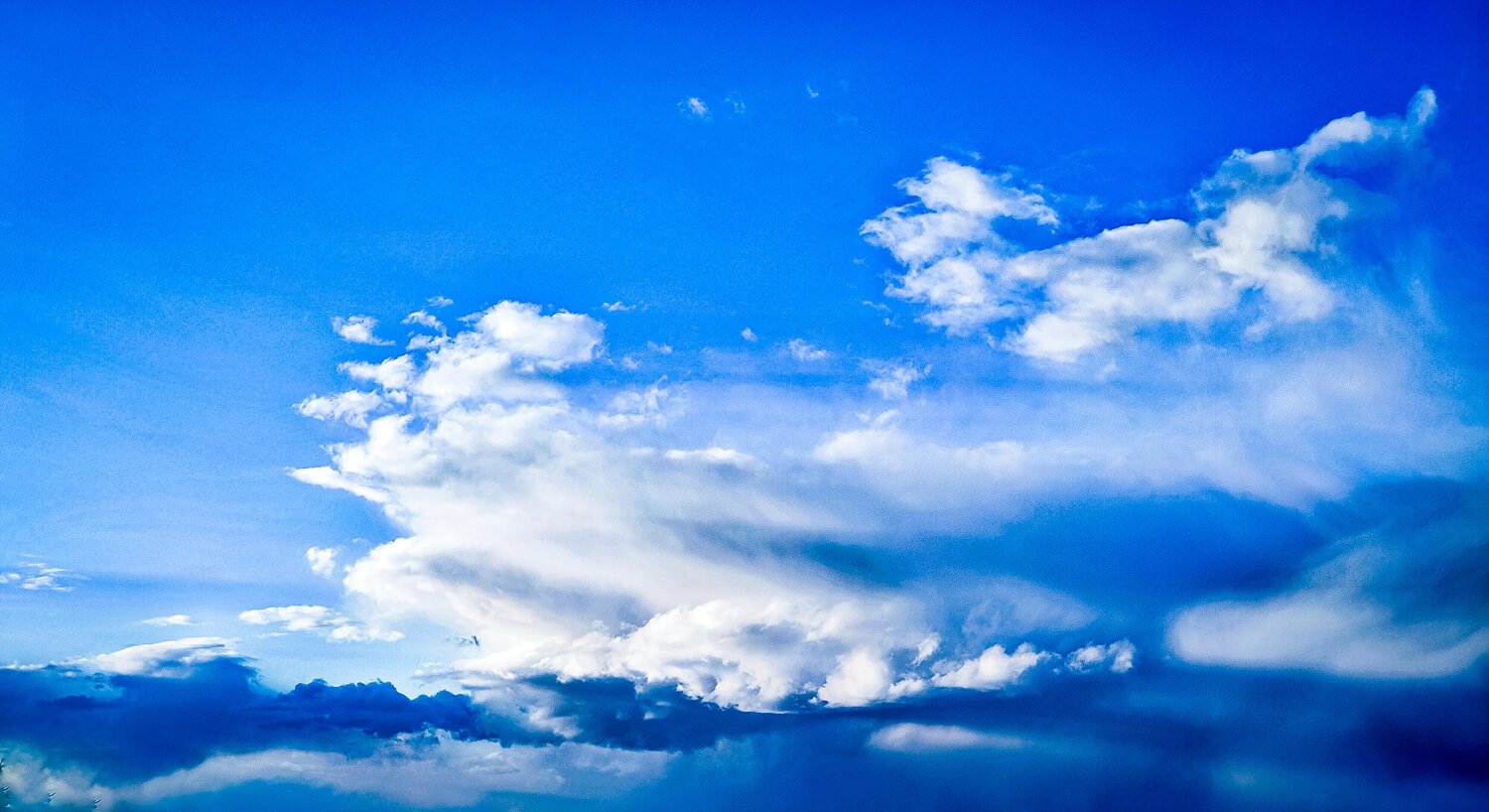 Photo #8170519
