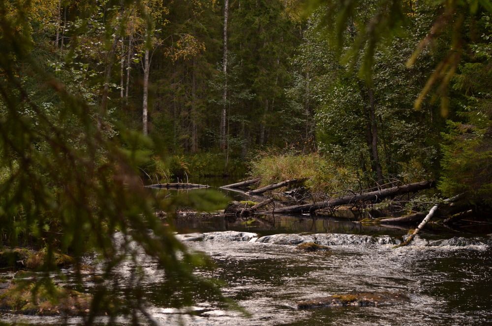 Осень в Карелии.