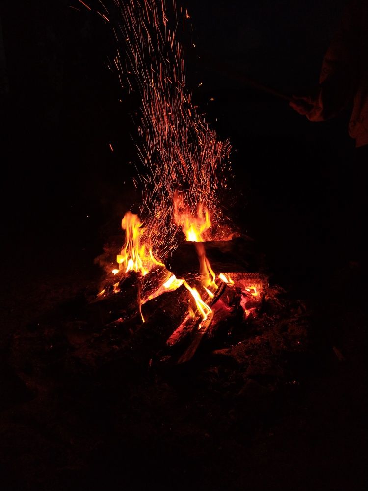Photo #8170536