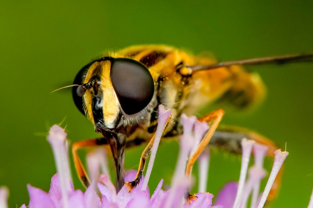 Photograph by Андрей Зуев